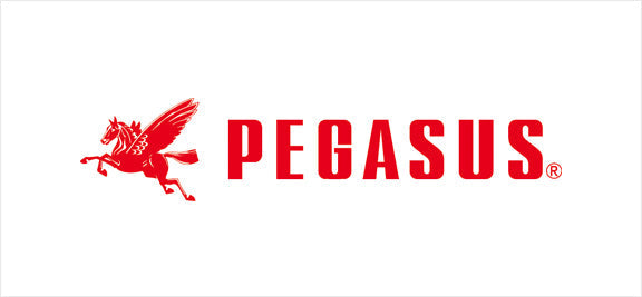 Pegasus